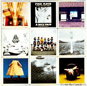 nicepair.jpg (42470 bytes)